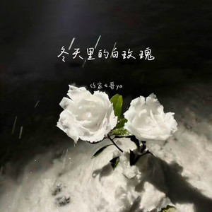 冬天里的白玫瑰封面