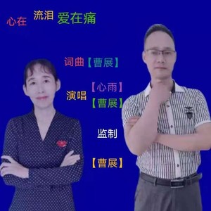 心在流泪爱在痛 (伴奏)