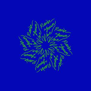 Raise Your Vibe (feat. Desanudo & Roger aka Erre)