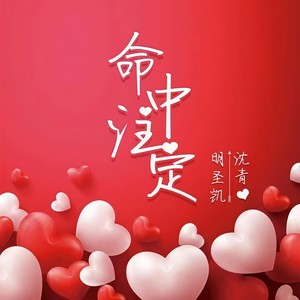 命中注定 (伴奏)