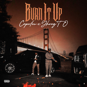 Burn It Up (Explicit)