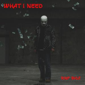 What I Need (Explicit)