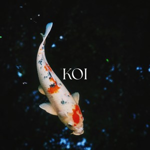 Koi