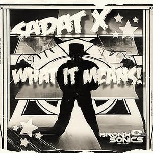 What it Means (feat. Sadat X) [Explicit]