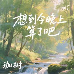 想到今晚上算了吧