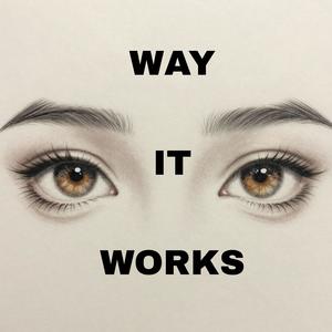 WAY IT WORKS