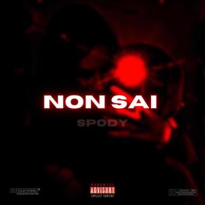 NON SAI (Explicit)