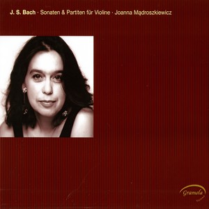 Violin Partita No. 1 in B Minor, BWV 1002 - VIII. Double