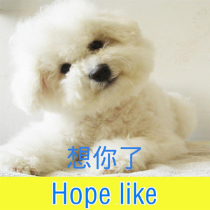 想你和我们的以后-Along&关羽