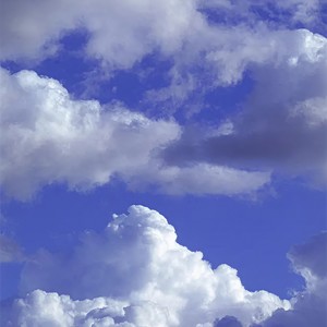 两头牛(东边的山坡上有两头牛)