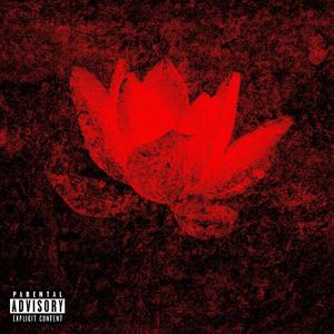 LOTUS (Explicit)