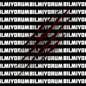 BILMIYORUM (speed up)