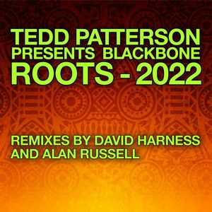 Roots - 2022 Remixes