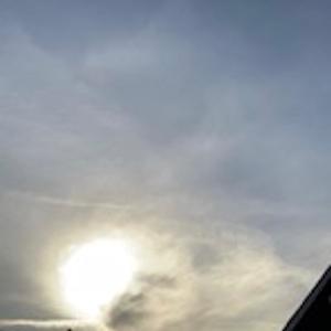 Through Thick Or Thin