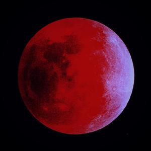 DEMON DOGS (Explicit)