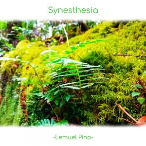 Synesthesia