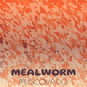 Mealworm Muscovado