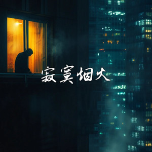旺仔加盐了 - 寂寞烟火(习惯一个人生活)