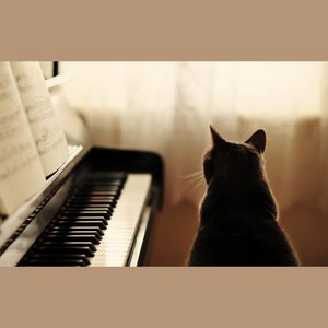 【钢琴】想你 - 天国的阶梯OST