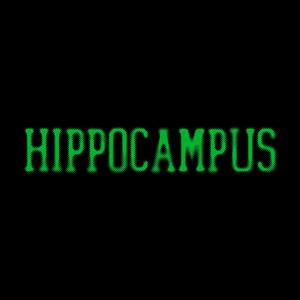 Hippocampus