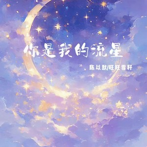 你是我的流星