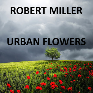 Urban Marigold (loop)
