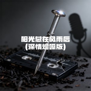 大头针 Official - 阳光总在风雨后 (深情烟嗓版)