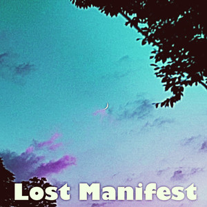 Lost Manifest