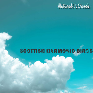 Scottish Harmonic Birds