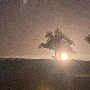 GOD AS MY WITNESS (Explicit)