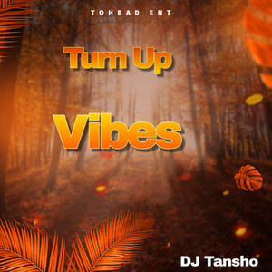 Turn Up Vibes