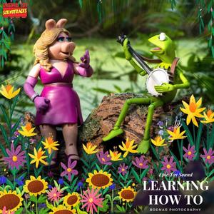 The Muppets: Learning How to Love (feat. bodnar_photography & Long Live Jimmy) [Live]