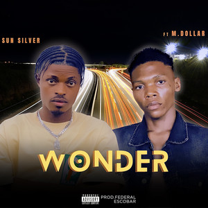 Wonder (Explicit)