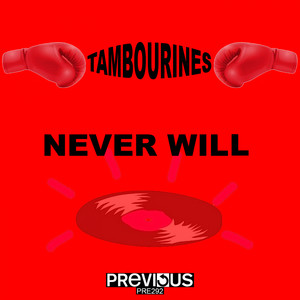 Never Will (Original Mix)