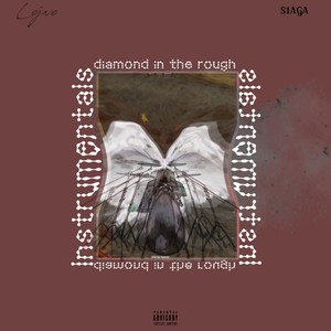 diamond in the rough /ˌɪn.strəˈmen.təl/