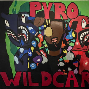 Wildcard (Explicit)