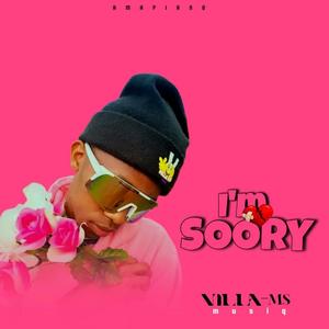 I'm sorry (feat. Villa Ms musiq)