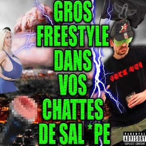 Gros freestyle dans vos chattes de salope (Explicit)