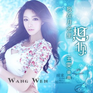 王雯 - 我在月光里想你