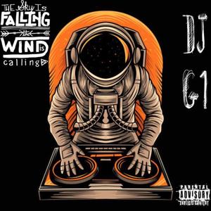 THE SKY IS FALLING THE WIND IS CALLING (Explicit)