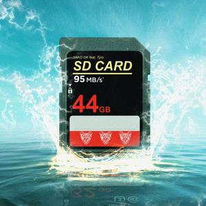 SD CARD (feat. Tyro) [Explicit]