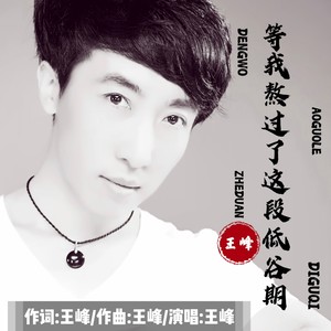 等我熬过了这段低谷期 (DJ阿阳版)