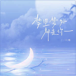 梦里梦外都是你 (DJBanan版伴奏)