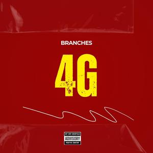 4G