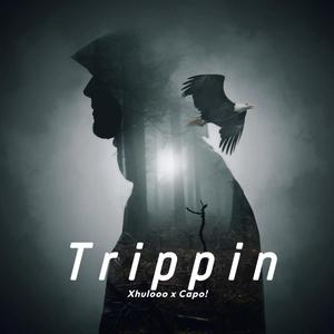 Trippin (feat. xhulooo)