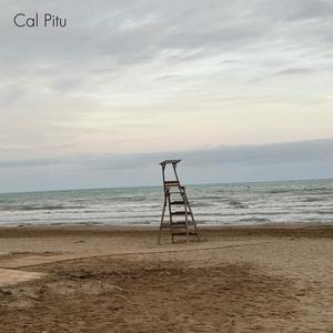 Cal Pitu