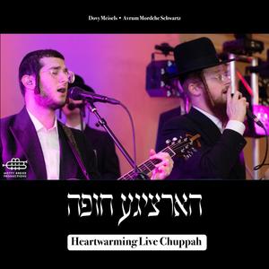 Heartwarming Live Chuppah