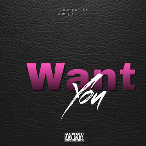 Want you (feat. Tum3ok) [Explicit]