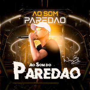 Ao Som do Paredão