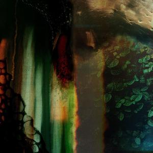 Menthe Verveine